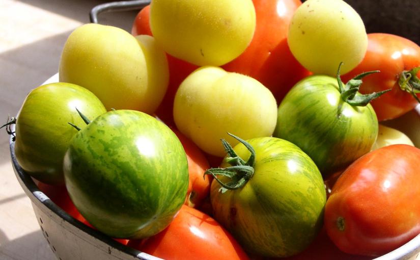 Thirty pounds of tomatoes was not nearly&nbsp;enough