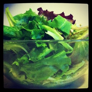 tumblr_mp100a8LCK1qmywbko1_500