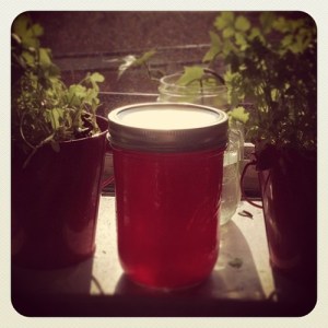 tumblr_mpgss81P2L1qmywbko1_500