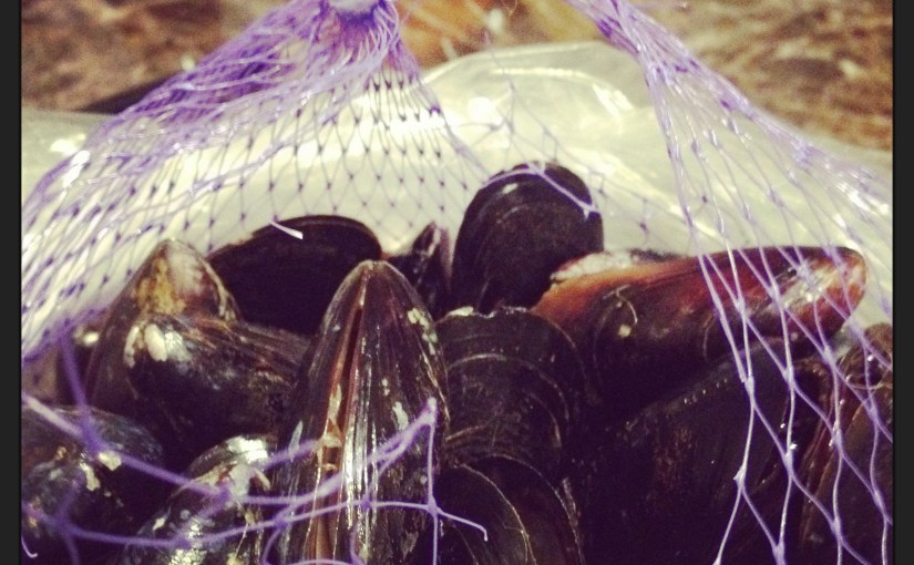 Mussels are Delicious! and&nbsp;Easy!