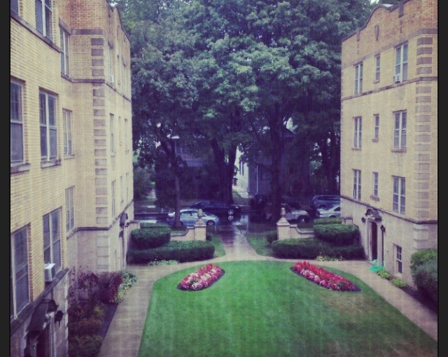 Twenty Days of Thankful&nbsp;#8