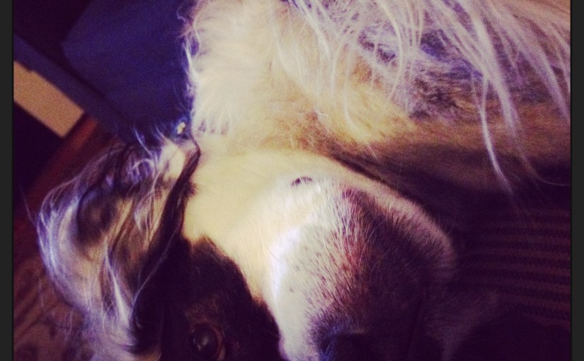 Twenty Days of Thankful&nbsp;#4