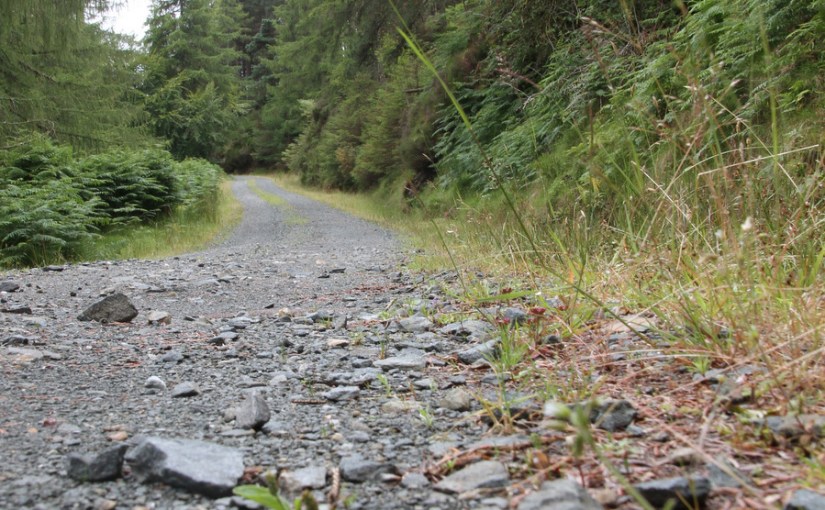A stroll through County&nbsp;Wicklow