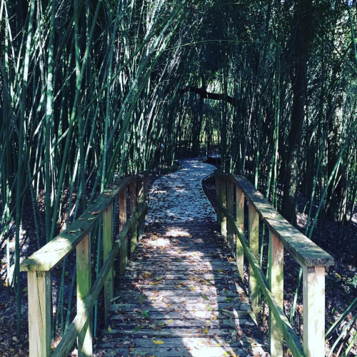 Your life is probably more complicated than it has to be. Cut it out,&nbsp;already.