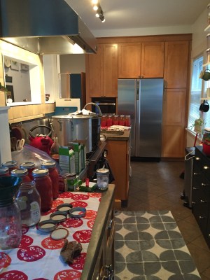 Mid-processing. Also, Ann has an appropriate tea towel for every occasion.